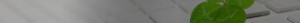 h1_bg_link