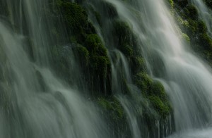 parallax_bg